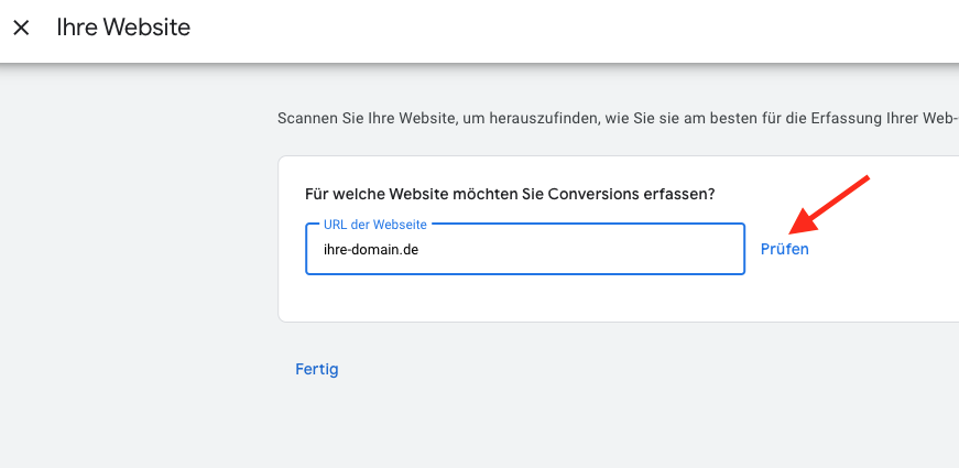 Google Ads Conversion: Domain prüfen